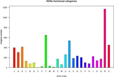 RNA Sequencing Analysis of Metopolophium dirhodum (Walker) (Hemiptera: Aphididae) Reveals the Mechanism Underlying Insecticide Resistance